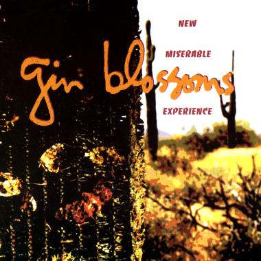 Gin Blossoms -  New Miserable Experience